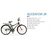 ACCENTOR--JR 24"